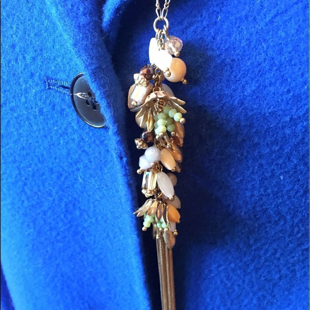 ASTER SCILLA Fringed Beauty! Adjustable!